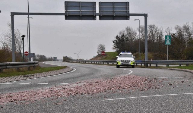 Foto: Presse-fotos.dk.