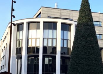 Selv om Kyssetræet står meget tæt på byrådssalen, smitter det sikkert ikke af på alle bag ruderne. Foto: Palle W. Nielsen