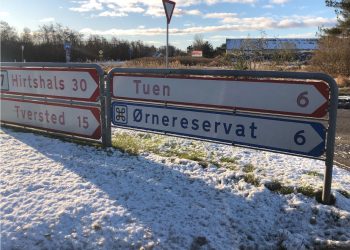 Foto: Ørnereservatet.