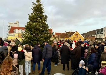 Trængsel omkring juletræet. Foto: Niels Skipper.