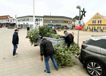 Handelchef Per Martensen (tv) fra Hirtshals Handel & Erhverv sammen med friske frivillige fra Lions på Den Grønne Plads. Foto: Niels Skipper.