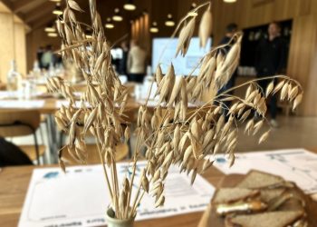 Kornets Hus er et spændende hus syd for Hjørring. Foto: Palle W. Nielsen