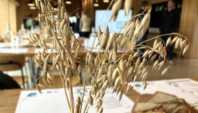 Kornets Hus er et spændende hus syd for Hjørring. Foto: Palle W. Nielsen