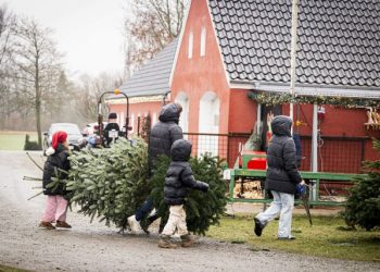 Julehygge på Mellemgård ved Sindal. Foto: Louise Bering.
