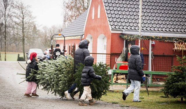 Julehygge på Mellemgård ved Sindal. Foto: Louise Bering.