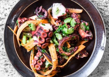 I modsætning til mange fiskebestande er alle verdens blækspruttepopulationer i vækst, så hvad med at spise dem? Pressefoto