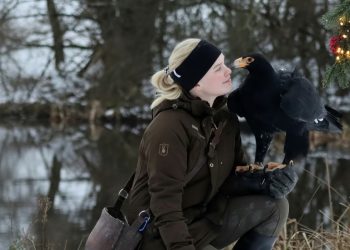 Foto: Ørnereservatet.