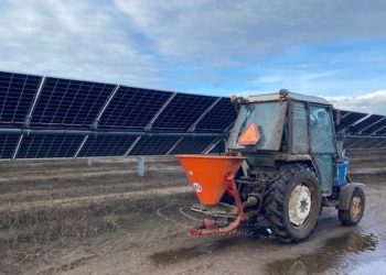 Frøspredning ved solcellepark. Foto: Momentum Energy Group A/S.