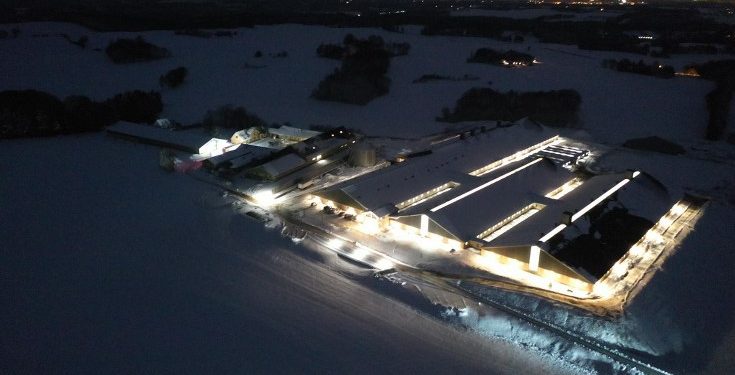 Brødrene Jonas og Danni Sørensen driver nær Lendum som 5. generation landbruget Store Vognsbæk som en stor arbejdsplads med ni ejendomme og 40 ansatte. Privatfoto