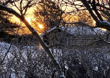 Hvis varmepumpen er ude af drift, og temperaturen falder til under det antal grader, man selv har bestemt som minimum, sender ThermITs system automatisk en advarsel på mail, før skaden er sket. Foto: Palle W. Nielsen