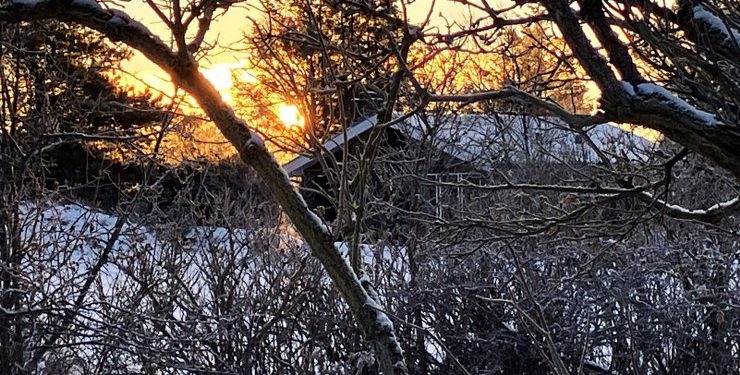 Hvis varmepumpen er ude af drift, og temperaturen falder til under det antal grader, man selv har bestemt som minimum, sender ThermITs system automatisk en advarsel på mail, før skaden er sket. Foto: Palle W. Nielsen