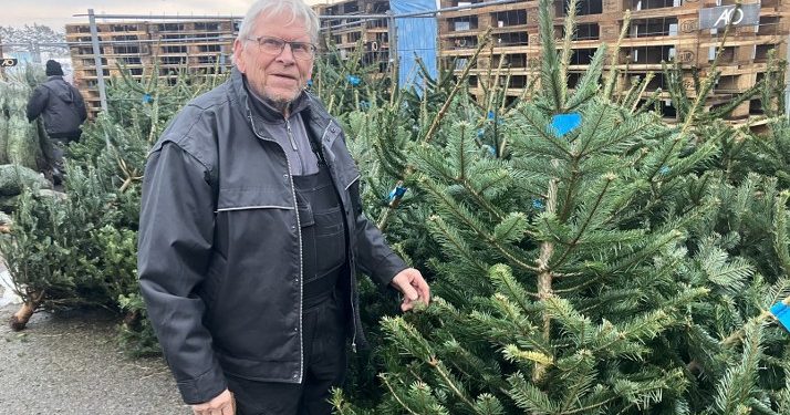 Så er årets juletræ udvalgt og købt hos A-Z i Hjørring. Foto: Palle W. Nielsen