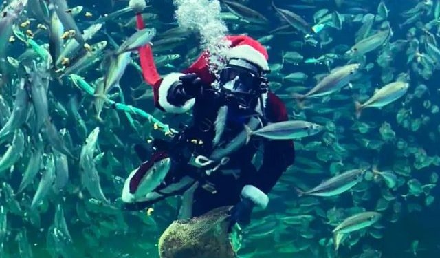 Foto: Nordsøen Oceanarium.