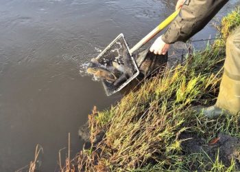 Foto: Liver Å Lystfiskerforening.