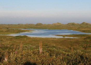 Arealerne ved Skallerup Klit og Tornby Klitplantage. Foto: Hjørring Kommune.