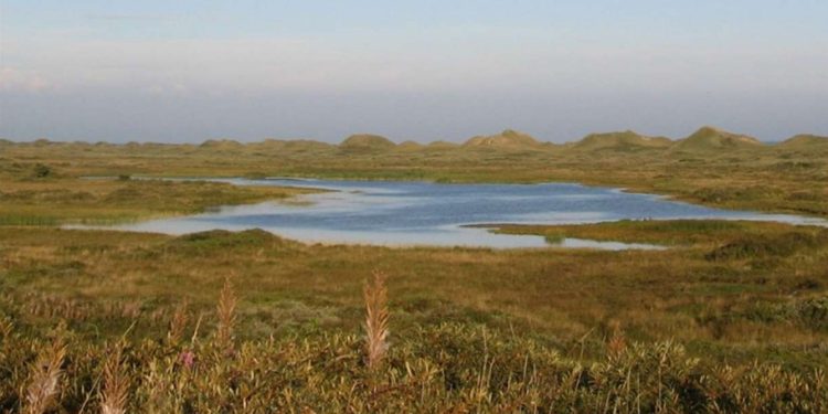 Arealerne ved Skallerup Klit og Tornby Klitplantage. Foto: Hjørring Kommune.
