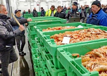Livlig handel med alt godt fra havet hos Hirtshals Fiskeauktion. Foto (arkiv): Terje Engø.