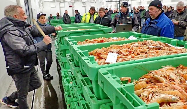 Livlig handel med alt godt fra havet hos Hirtshals Fiskeauktion. Foto (arkiv): Terje Engø.
