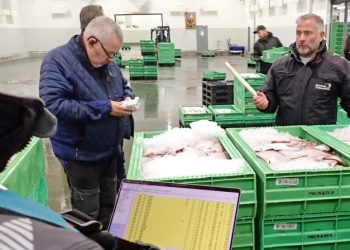 Auktionsmester Finn Møller (th) svinger stikken hos Hirtshals Fiskeauktion. Foto: Terje Engø.