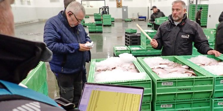 Auktionsmester Finn Møller (th) svinger stikken hos Hirtshals Fiskeauktion. Foto: Terje Engø.