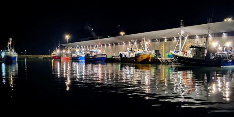 Auktionskajen i Hirtshals Havn. Foto (arkiv): Terje Engø.