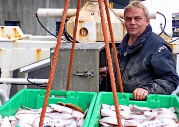 Hele 75 procent af den norske fangst af søtunge i 2025 blev fisket af Jørgen Runehæll og hans besætning på "Rønø". Foto: Terje Engø.