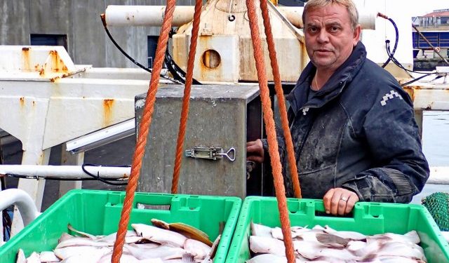 Hele 75 procent af den norske fangst af søtunge i 2025 blev fisket af Jørgen Runehæll og hans besætning på "Rønø". Foto: Terje Engø.