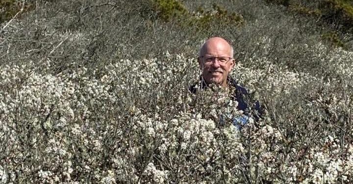 Lars Høgh midt i Danmarks største slåenkrat, som ligger i Tornby Klitplantage. Foto: Privat.