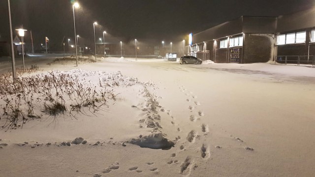 Sneen ligger og bliver i hvert fald den næste uges tid liggende også som her lørdag morgen i Hirtshals. Foto: Presse-fotos.dk.