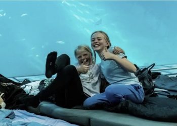 Familiehygge på Nordsøen Oceanarium. Pressefoto