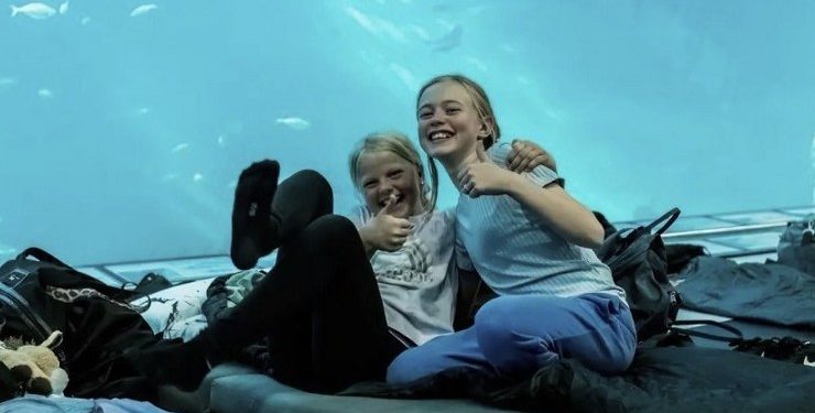 Familiehygge på Nordsøen Oceanarium. Pressefoto