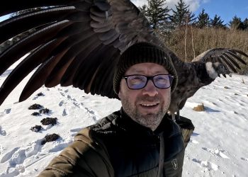 Peter Frank Wenzel med Molina. Foto: Ørnereservatet.