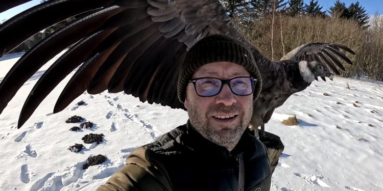 Peter Frank Wenzel med Molina. Foto: Ørnereservatet.