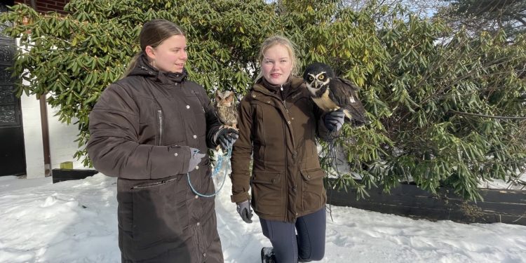Foto: Ørnereservatet.