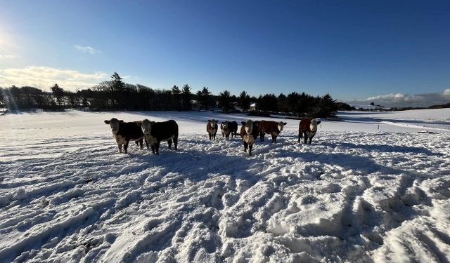 Foto: Kærsgård Hovedgård.