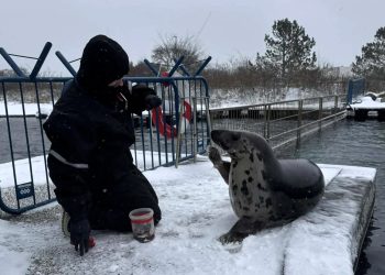 Foto: Nordsøen Oceanarium.