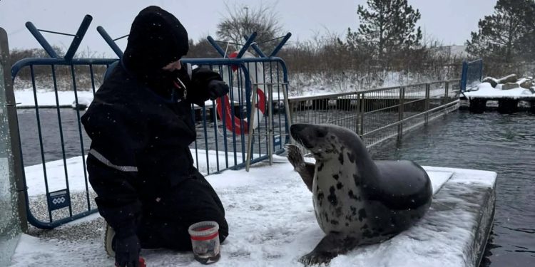 Foto: Nordsøen Oceanarium.