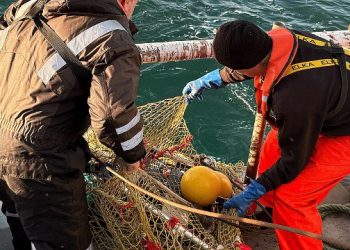 Testtogt i Skagerrak i Accelerator-projektet, januar 2026. Foto: DTU Aqua.