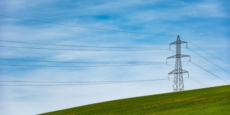 Foto: Thomas Despeyroux / Unsplash.