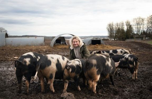 Grisenes velfærd betyder noget for lidt over halvdelen af de vælgere, der skal stemme ved folketingsvalget 24. marts 2026. Dyrenes Beskyttelses direktør Britta Riis konstaterer, at meningsmålingen også gør op med påstanden om, at det kun er folk i storbyerne, der går op i dyrevelfærd. Foto: Benedicte Lorenzen / Dyrenes Beskyttelse.