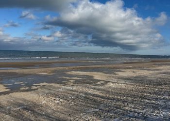 Uggerby Strand. Foto: Karen Pedersen.