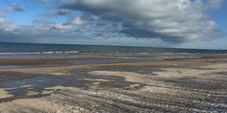 Uggerby Strand. Foto: Karen Pedersen.
