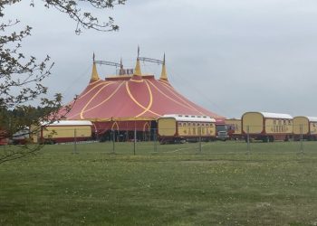 Cirkus Arena har i 2026 to forestillinger på Dyrskuepladsen ved Halvorsmindevej i Hjørring. Arkivfoto: Palle W. Nielsen