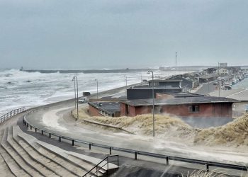 Dave går i land ved Pelles Strand i Hirtshals. Foto: Presse-fotos.dk.