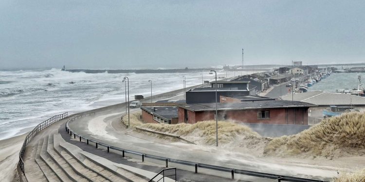 Dave går i land ved Pelles Strand i Hirtshals. Foto: Presse-fotos.dk.