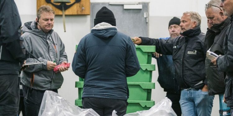 Havnene i Hirtshals og Skagen modtager flest flest rejer fra Skagerrak. Foto: Hirtshals Fiskefestival.
