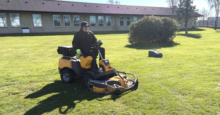 Det Grå Guld og Robort slår græs i skøn forening. Foto: Palle W. Nielsen
