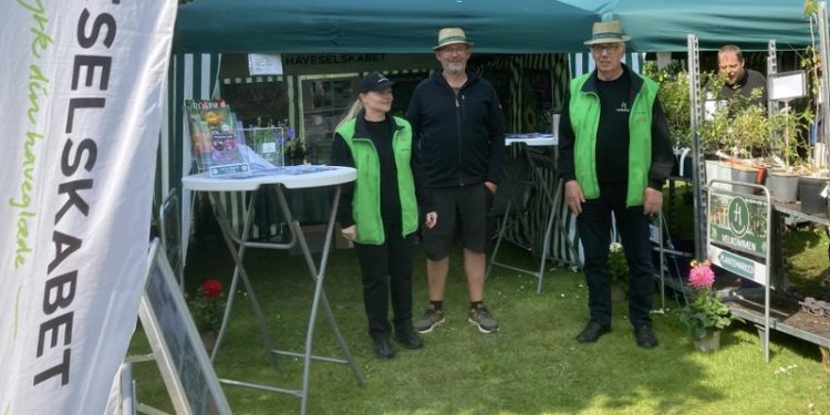 Foto (arkiv): Haveselskabet Hjørring.