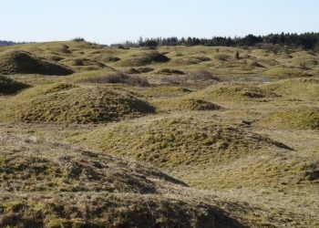 Skallerup Indlandsklitter. Foto: DN Hjørring.
