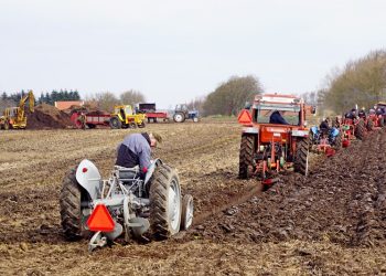 Som sidste mand  i pløjerækken kører Fritz fra Understed, mens der bliver læsset fiber på møgsprederne i baggrunden. Foto: Helge Jensen.